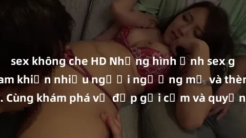 sex không che HD Những hình ảnh sex gái sinh viên Việt Nam khiến nhiều người ngưỡng mộ và thèm khát. Cùng khám phá vẻ đẹp gợi cảm và quyến rũ của những cô gái trẻ này.